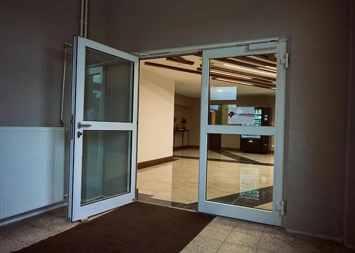 Puzzle Airport Frankfurt 吕塞尔斯海姆